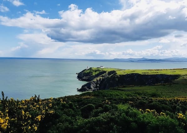 ダブリン・ハウズ